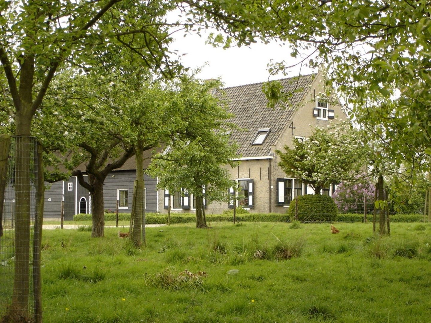 Boomgaard - Fam. Aarnoudtse.