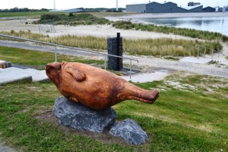 De zeehond vergezelt de ankerplaats op de dijk.