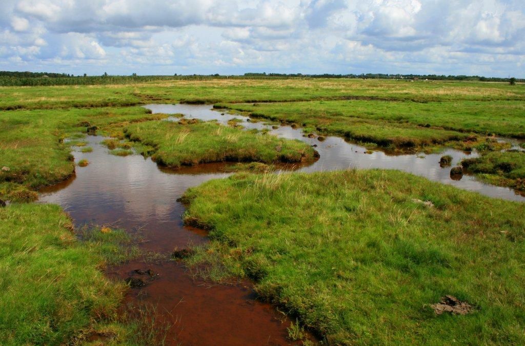 Yerseke Moer Zeeuwse Ankers yerseke-moer-zeeuwse-ankers