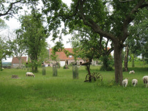 Boomgaard bij Hoeve van der Meulen